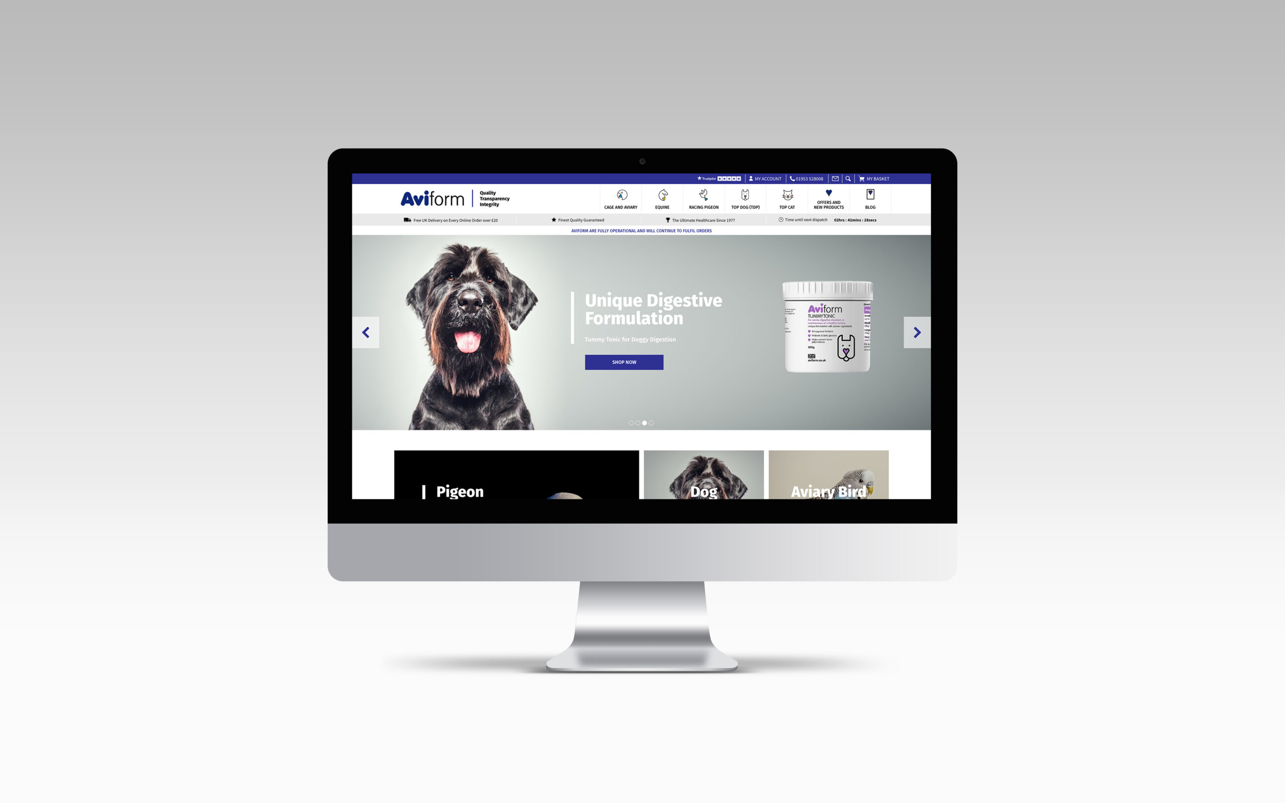 Aviform homepage on iMac