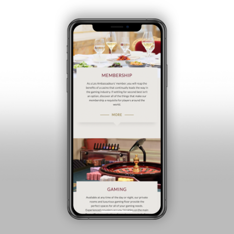 Les Ambassadeurs website on phone